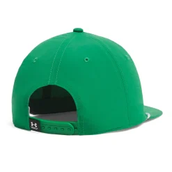 Drive 5 Panel Snapback Grön