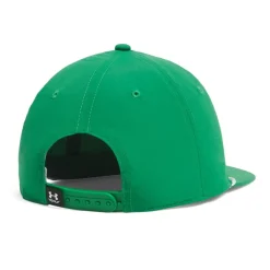 Drive 5 Panel Snapback Grön
